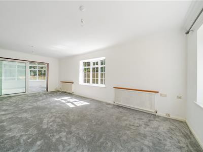 Picture 24